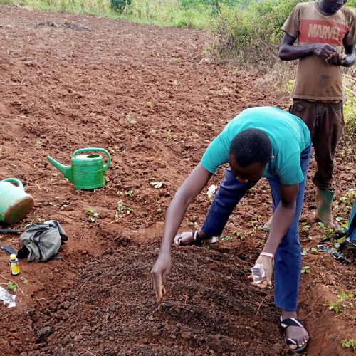 income-generating projects